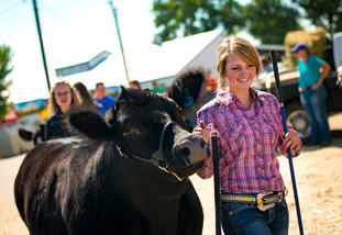 A 4-H member guides their heifer as they walk together at a 4-H event.