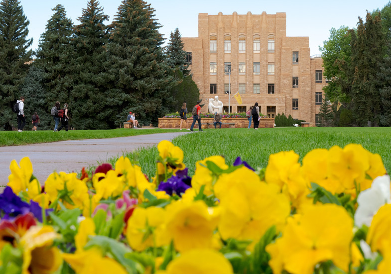 Arts and Sciences building in the background with summer flowers in the foreground