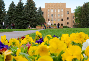 flowers on campus in front of the arts and sciences building
