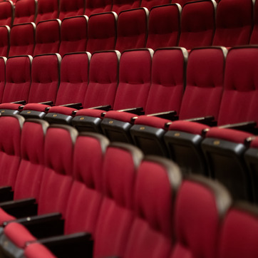 Picture of the seats in the BCPA Concert Hall
