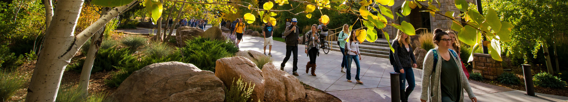 students walking through campus surrounded by autumn leaves 