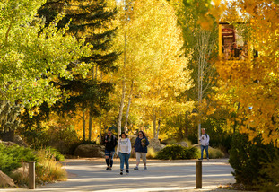 campus in the fall