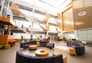 interior of the stem building