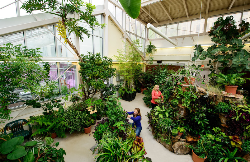 Two people work inside the Williams Conservatory at the University of Wyoming surrounded by a variety of lush and exotic plants.