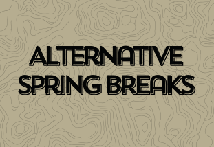 alternative spring breaks