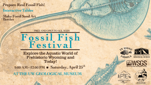 fossil fish festival poster fossil fish festival poster