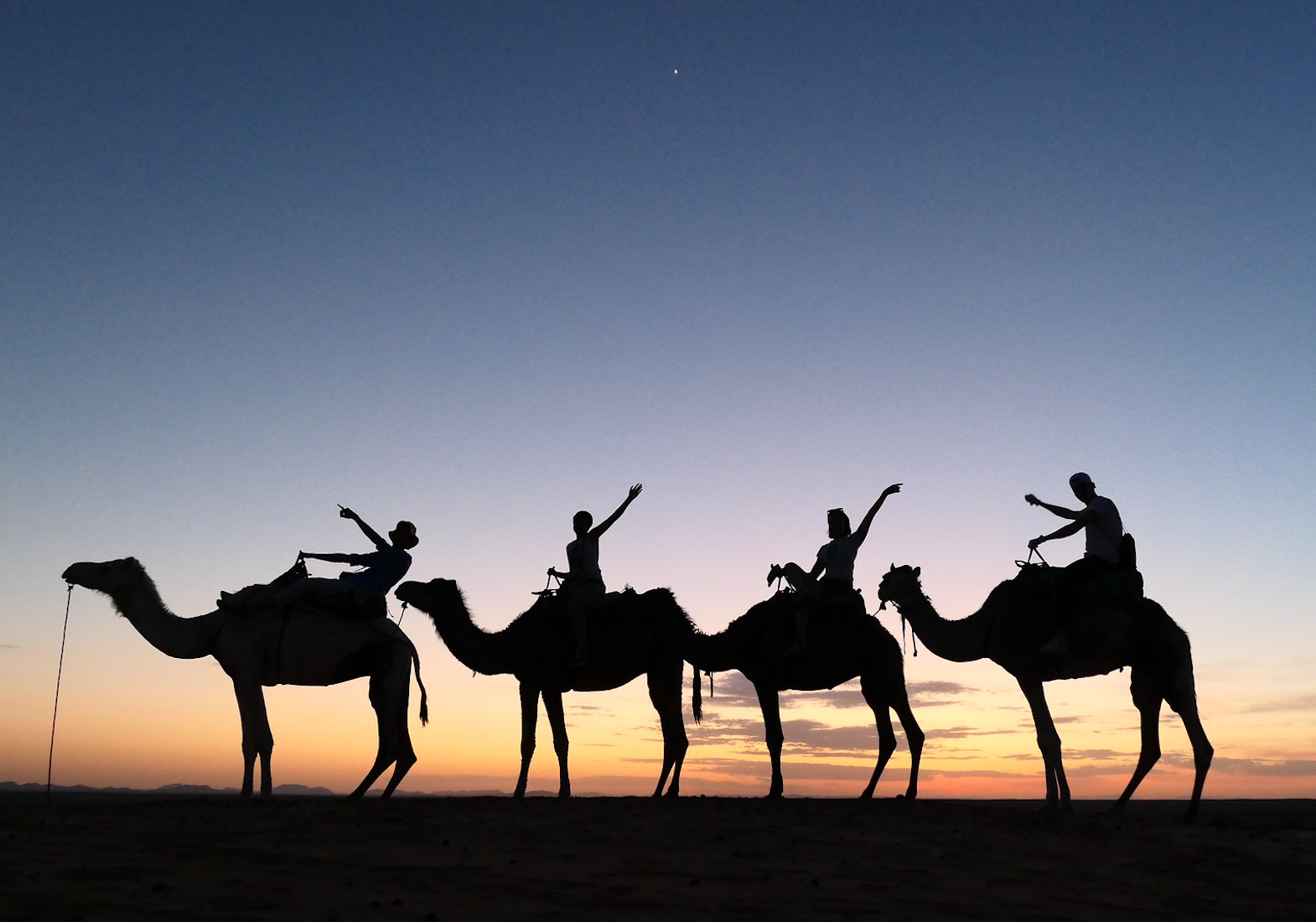 four students on camels in Sahara at night