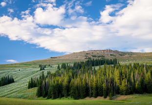 green hillside