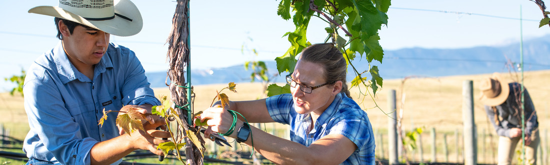 Two people examining a tree.