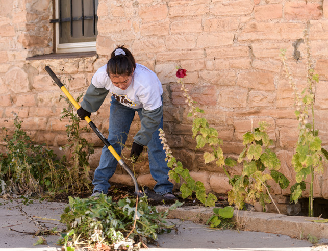 A person rakes up leaves in a garden bed with tall flowers.
