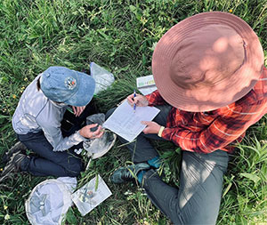 overhead view of two people seated in the grass working