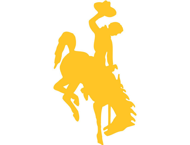 Yellow steamboat logo