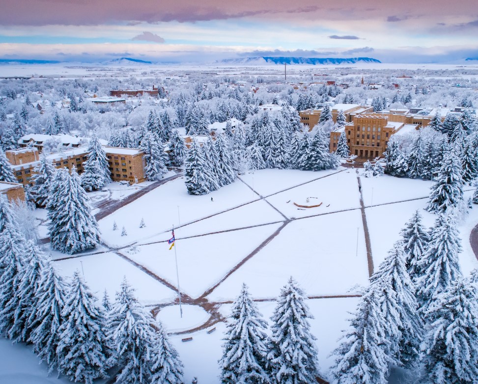 Current and upcoming courses