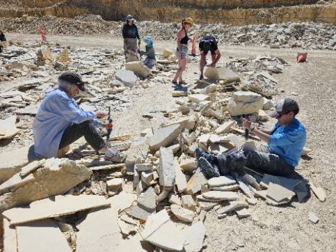 Summer cohort digging for fossils. Summer cohort digging for fossils