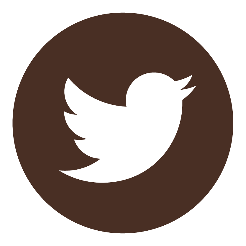 former Twitter X icon