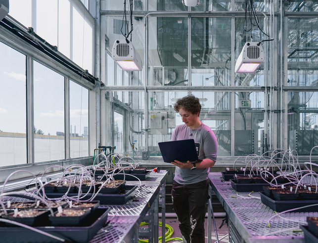 UW mascot - Pistol Pete cheering