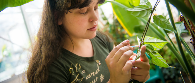 Student looking at a plant leaf