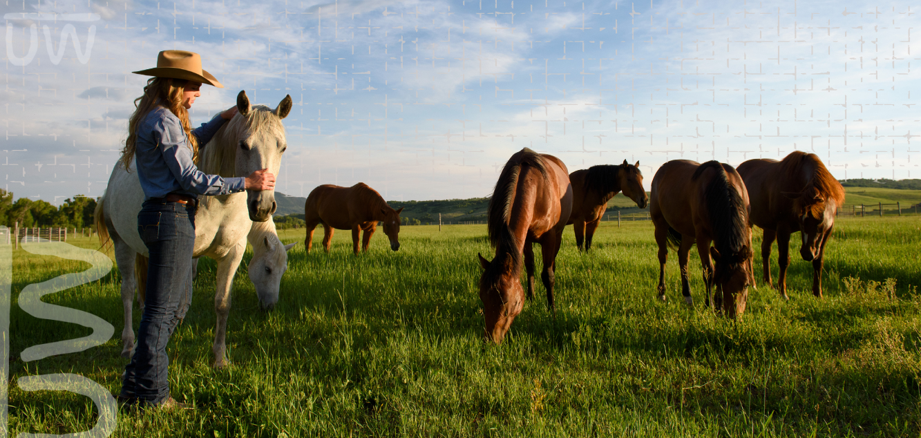 student in field with horses