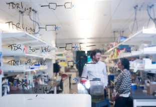 people behind glass in a lab