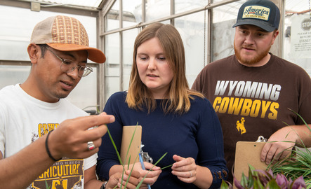 three students in a greenhouse
