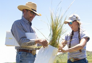 a man helping a woman