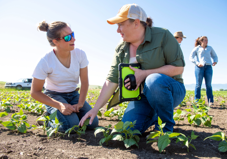 Two educators kneel in a cultivated field, examining young plants during a hands-on agricultural field activity, with others observing in the background.