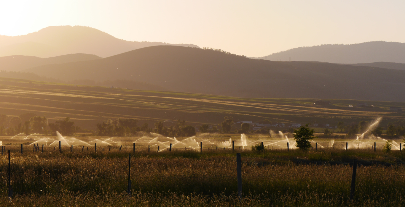 a collage of images showing extensions areas of focus