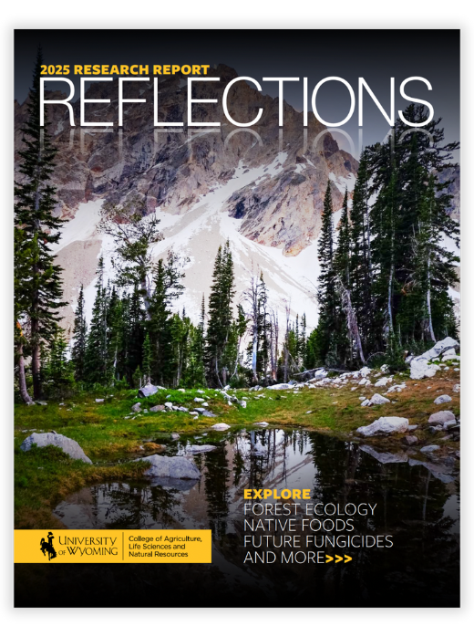 2025 Reflections Cover 2025 Reflections Cover