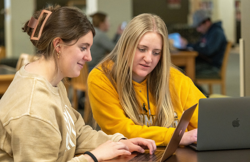 UW students complete online coursework using laptops, seated in a University of Wyoming library.