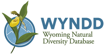 WYNDD logo