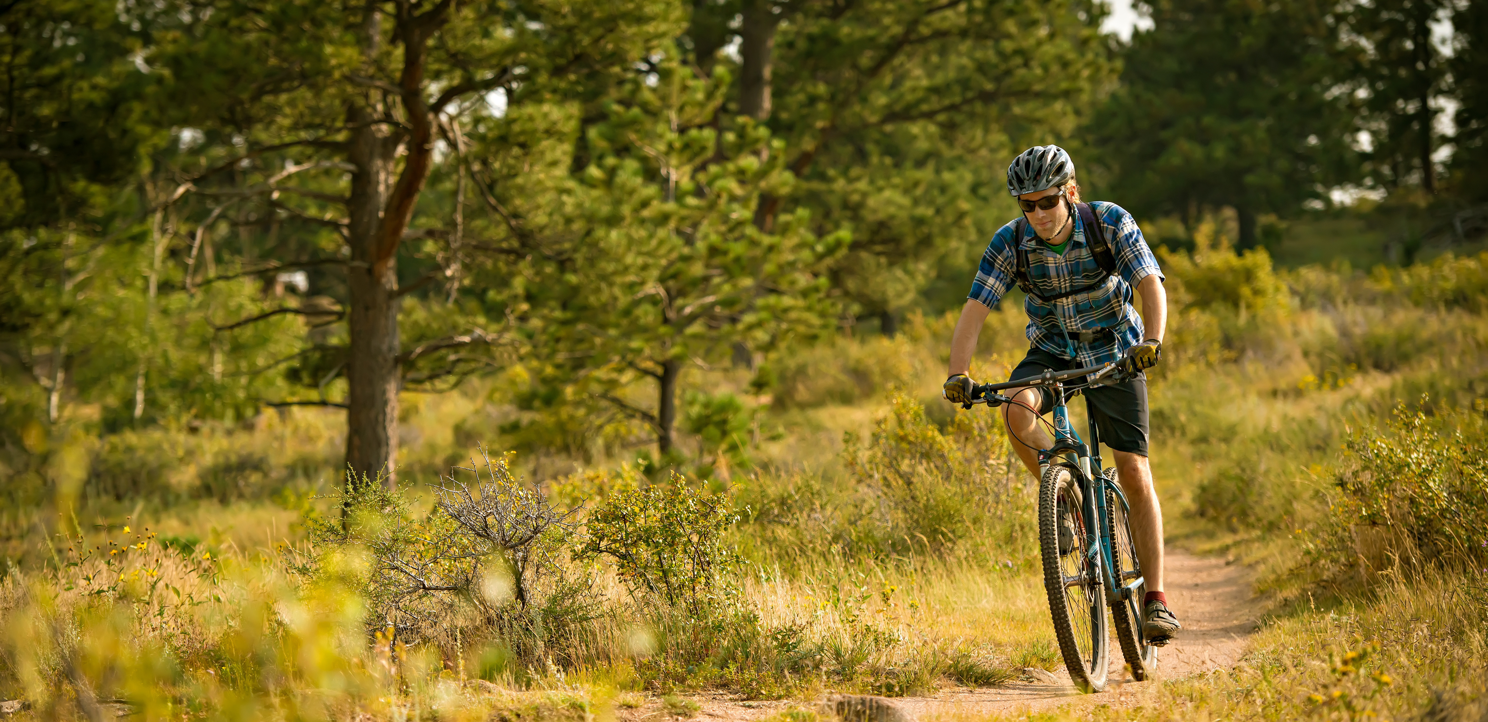 A student bikes through a forest