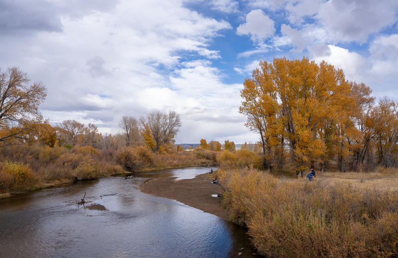 A small river runs through several trees in fall colors in Laramie.
